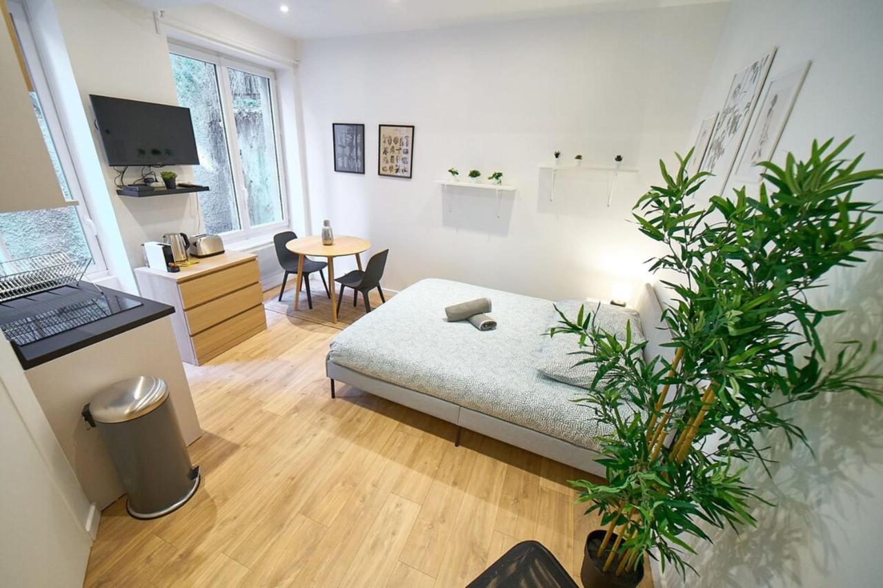 Apartmán Le Petit Pierre Scize - Quais De Saone Lyon Exteriér fotografie